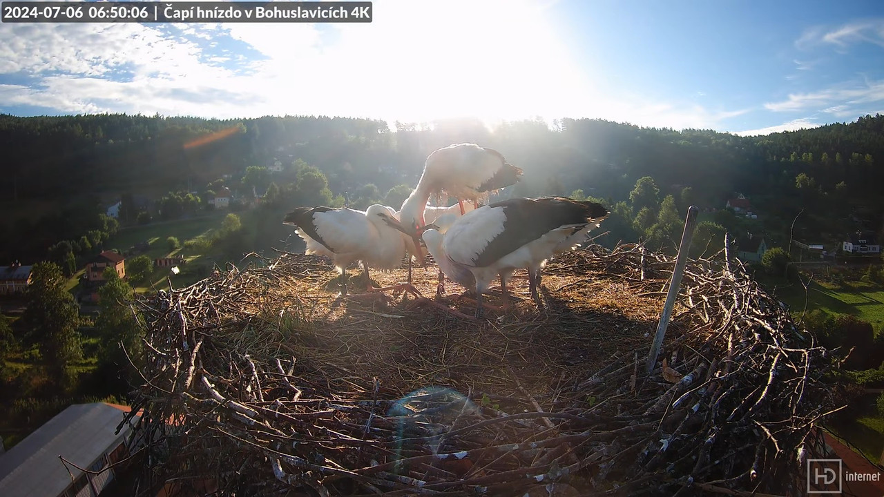 Tiešraidē no uzņēmuma KARA stārķa skursteņa Bohuslavicē pie Trutnovas 8-16-52 screenshot