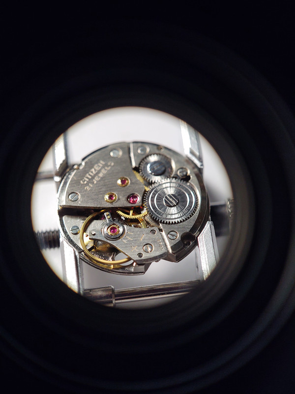 IMG_20191130_191009255