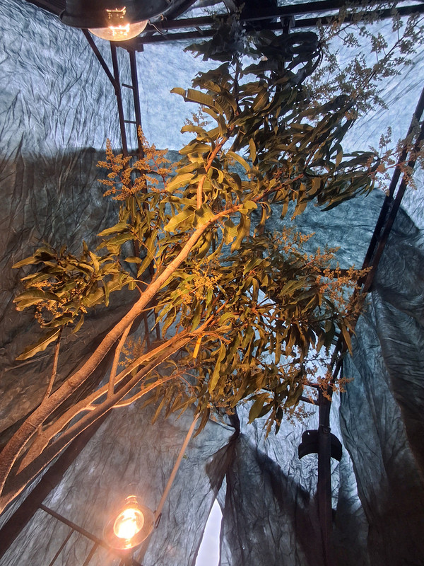 20251230 171505
