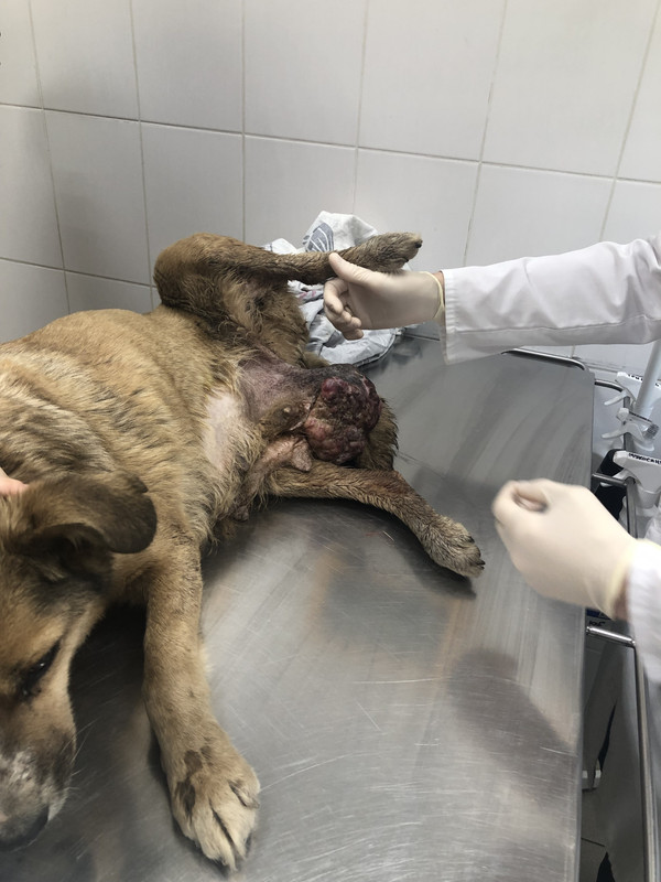 95BC258B-909A-4584-8806-3098B01E3DA1