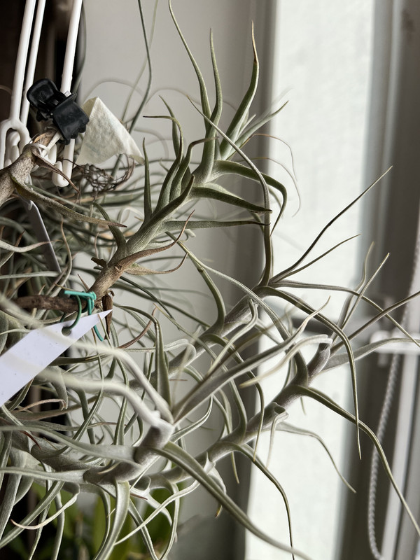 668747DD-4DF8-4F81-8027-E3C3B538A583