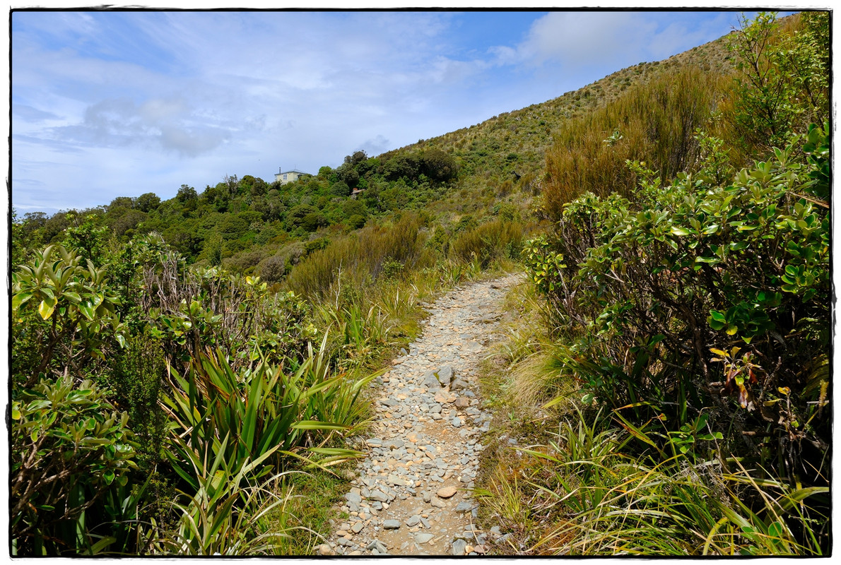 Paparoa NP: Paparoa Track (diciembre 2024) - Escapadas y rutas por la Nueva Zelanda menos conocida (4)