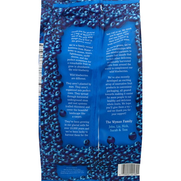 Wyman s Wild Blueberries 4