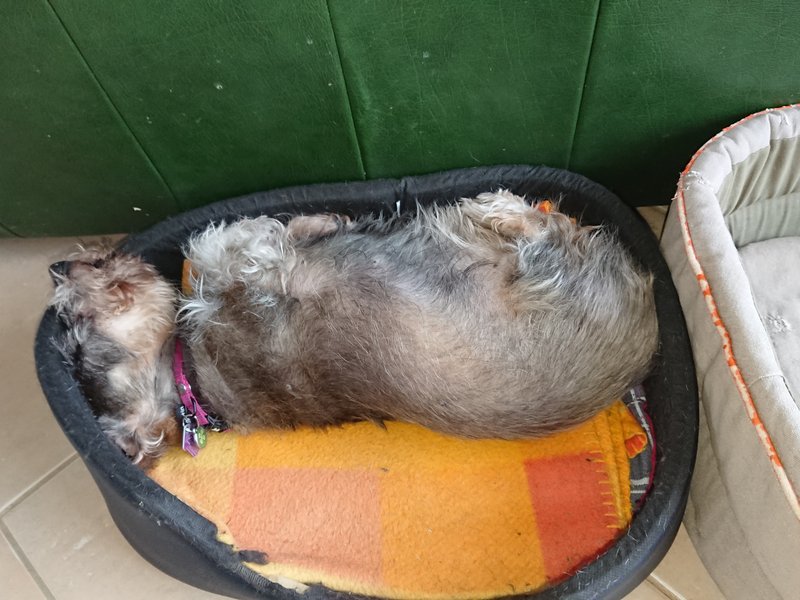 [Image: DSC-2687.jpg]