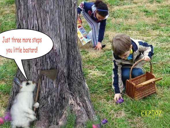[Bild: eef21de375ae8db8c42824c124680245.jpg]
