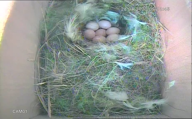 907287B8-ECB2-4928-9243-FA34E5AFFA89