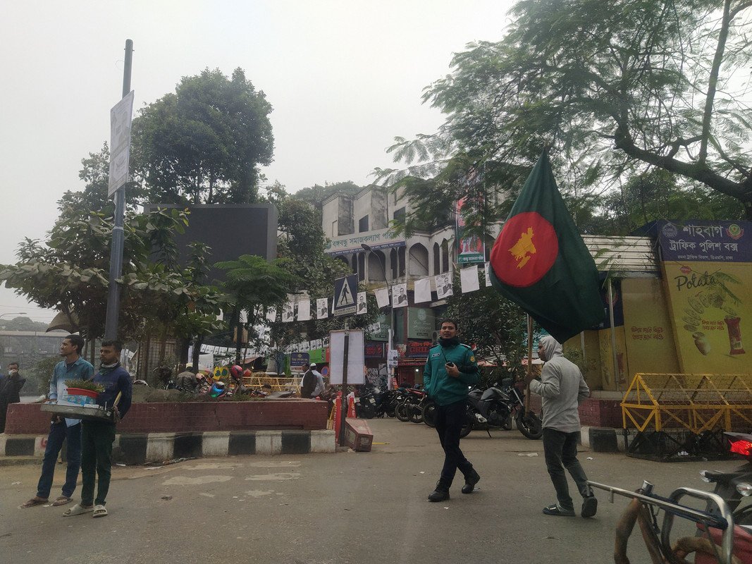 Бенгальский фьюжн с коровами на деревьях, или Бангладеш в обрамлении двух Индий