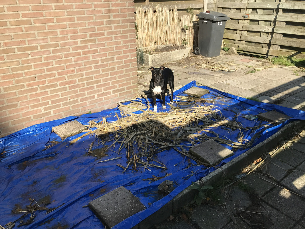 BF7A98F9-77A7-4325-A340-609D70D5C282