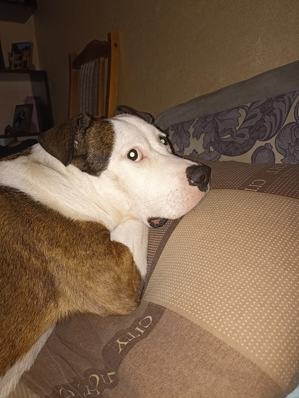 1EF69205-2075-47F7-999C-F36B89CDF5BA