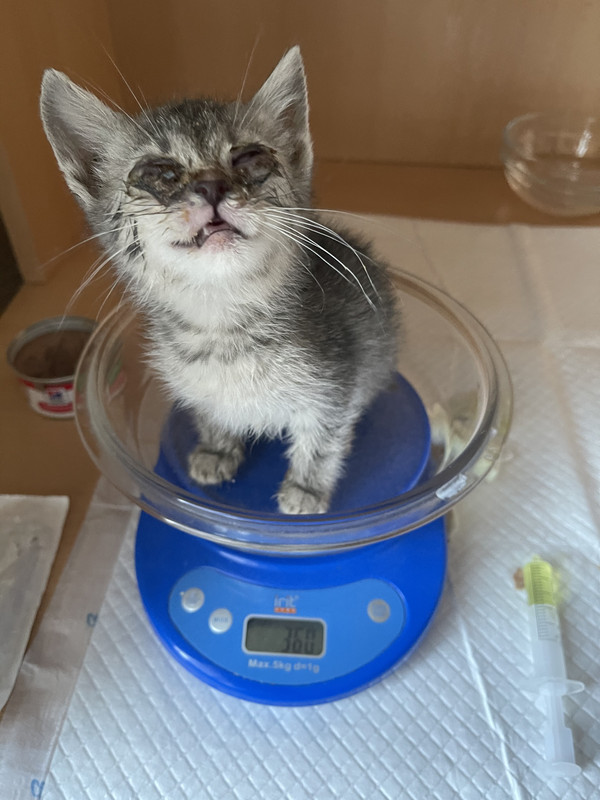 FC0E628C-49C6-468F-84BB-2C2BD54E3849