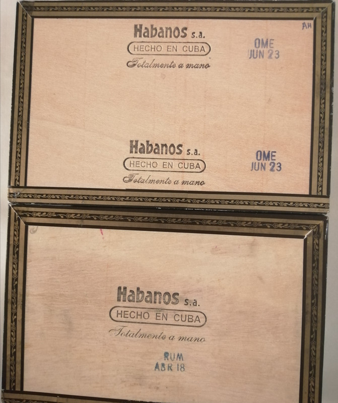 IMG_20240612_153649[1]