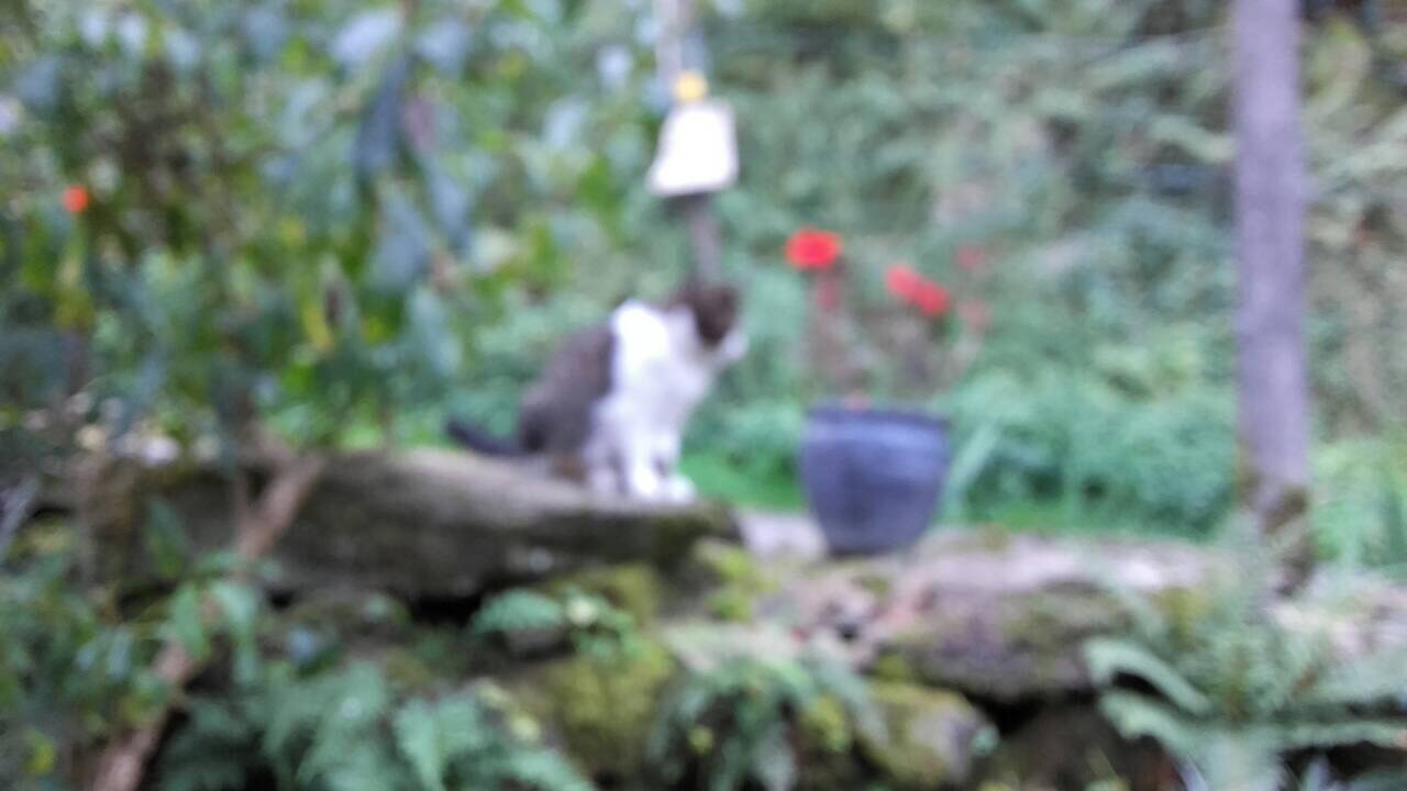 932B7ACD-7269-4308-AF47-FD1DF9903778