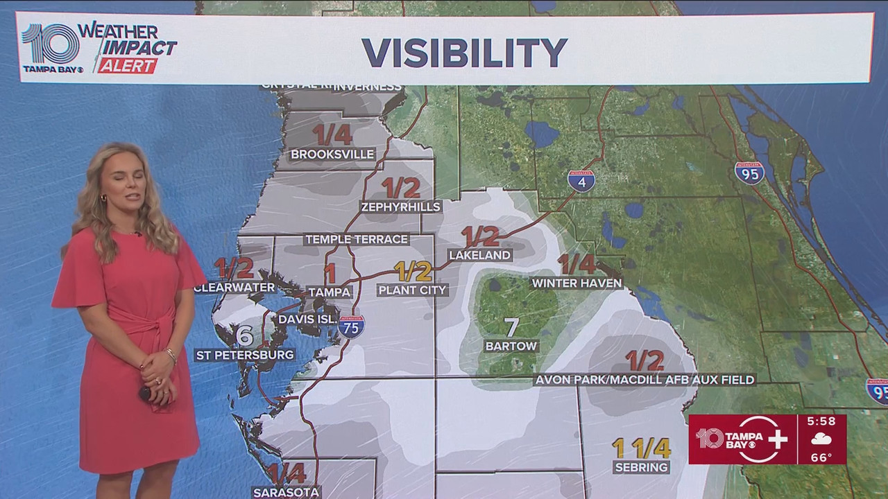 10 Tampa Bay News This Morning at 600 a m 20251124 11001200 ts snapshot 00 07 243