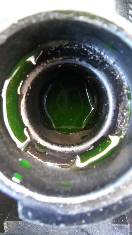 20181117_152821 (Small)