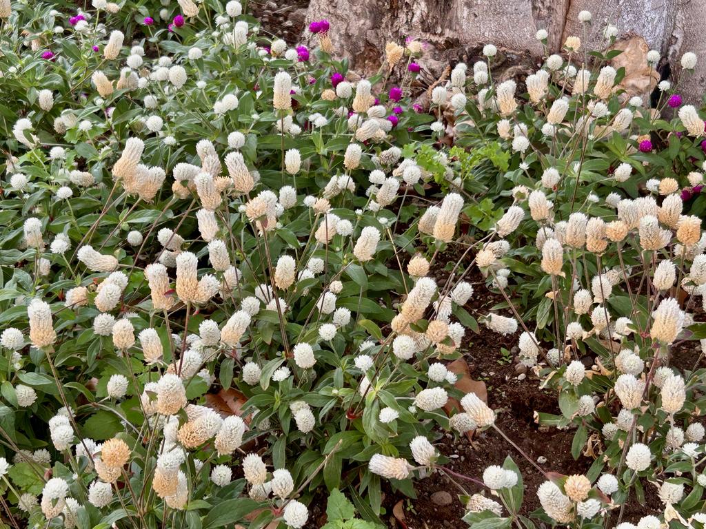 Жаркий сентябрь на побережье Тирренского моря. Жаркий сентябрь на побережье Тирренского моря.