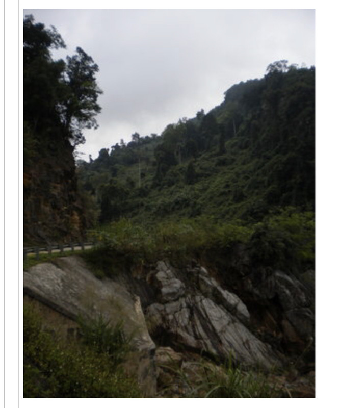 1C7C08A5-1767-4265-8767-1A3F0BF221FC