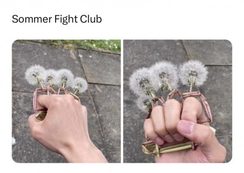 thumbs-picdump832-066.jpg