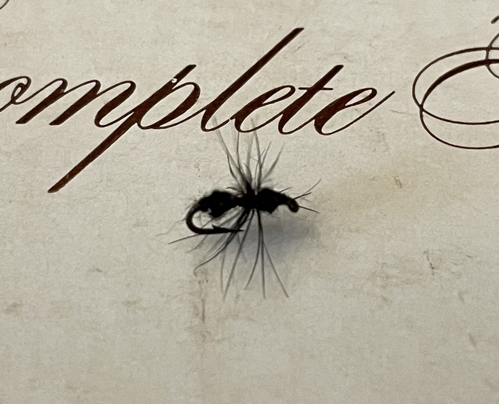 B679F699-A1C6-4AC4-B1F3-F3A7EF92FC97