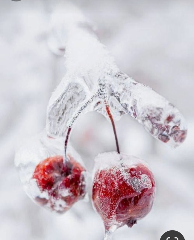 Screenshot_20231210_230157_Pinterest