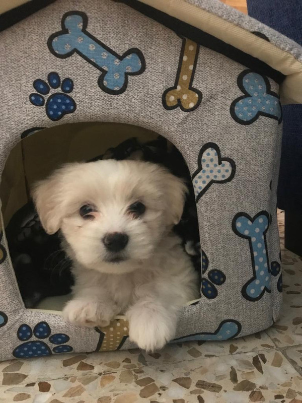 8f999749-faf2-470e-a4c3-6e826877b8f8