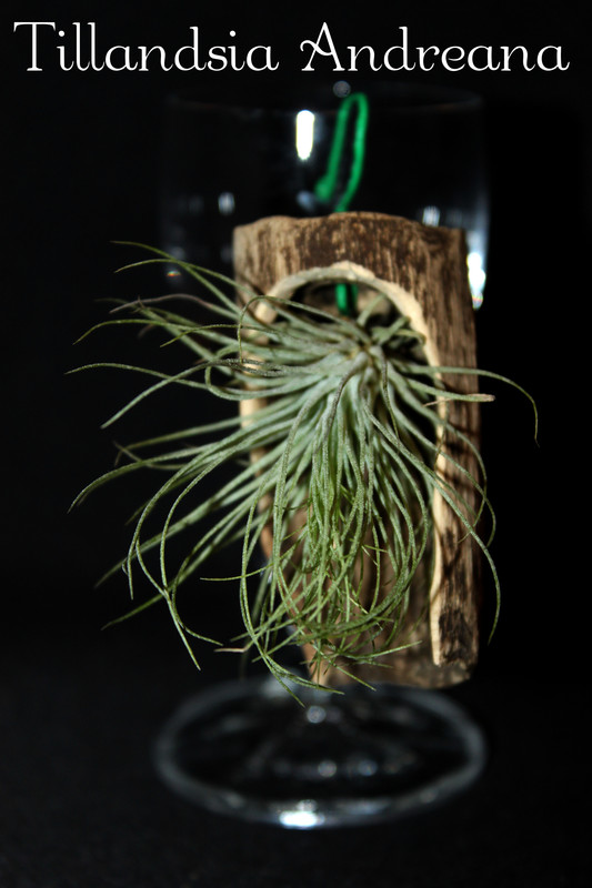 photostudio_1602518734948