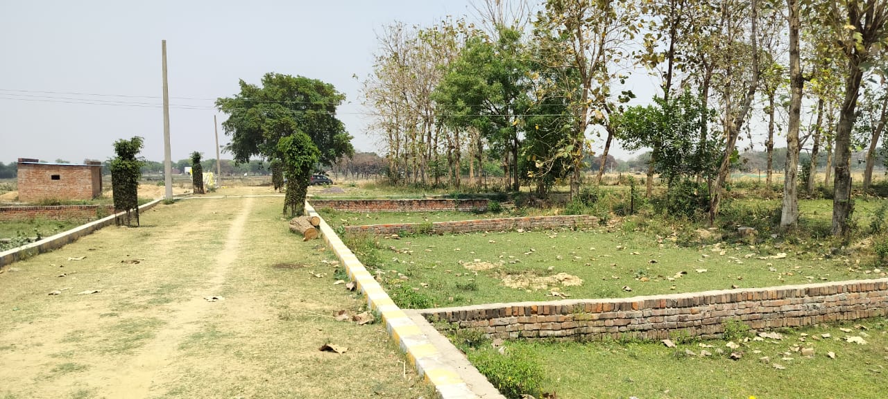 टीचर्स कालोनी 2