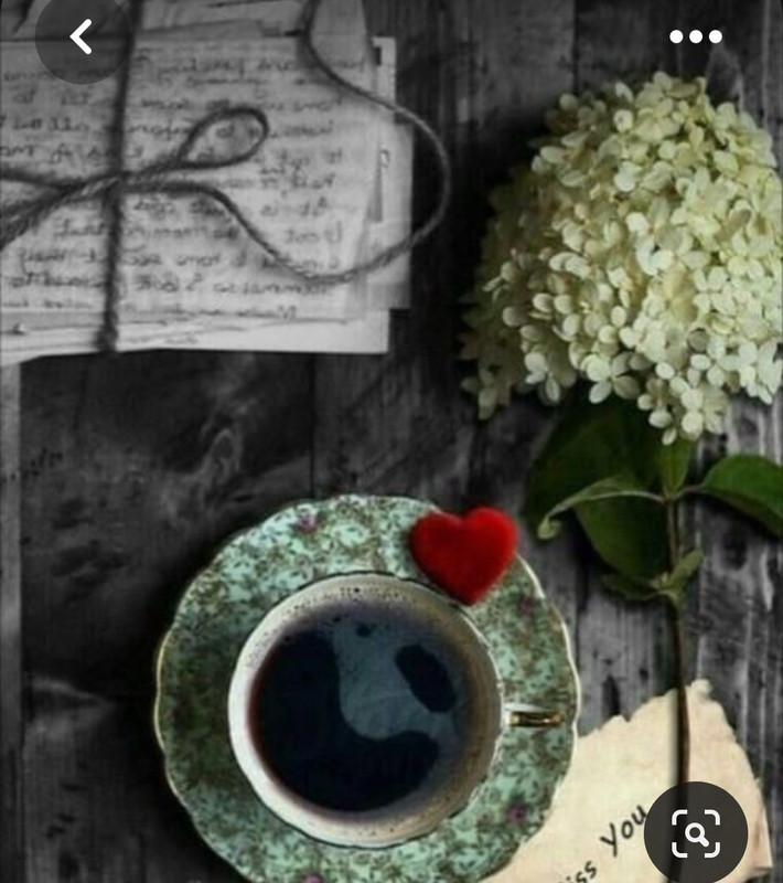 Screenshot_20230616_132636_Pinterest