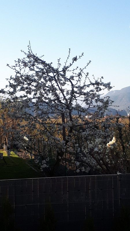 20190329_165106