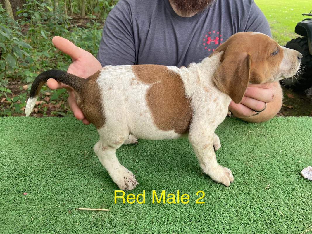 3C57EF6A-9CA8-4834-8409-AAB155CA2118