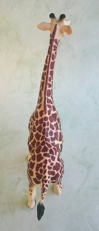 Mojo 2020 - Masai Giraffe 20200627-125549