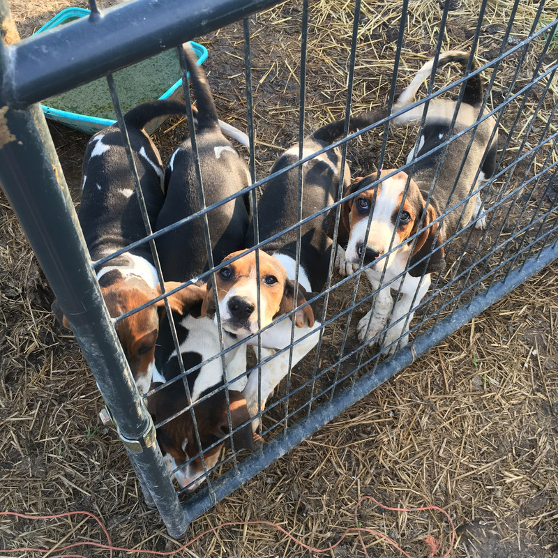 5AC55DA9-5BB1-431E-9003-A44517BA9234