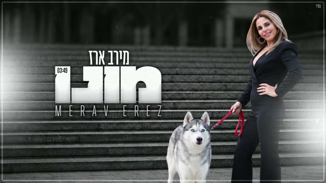 תמונה