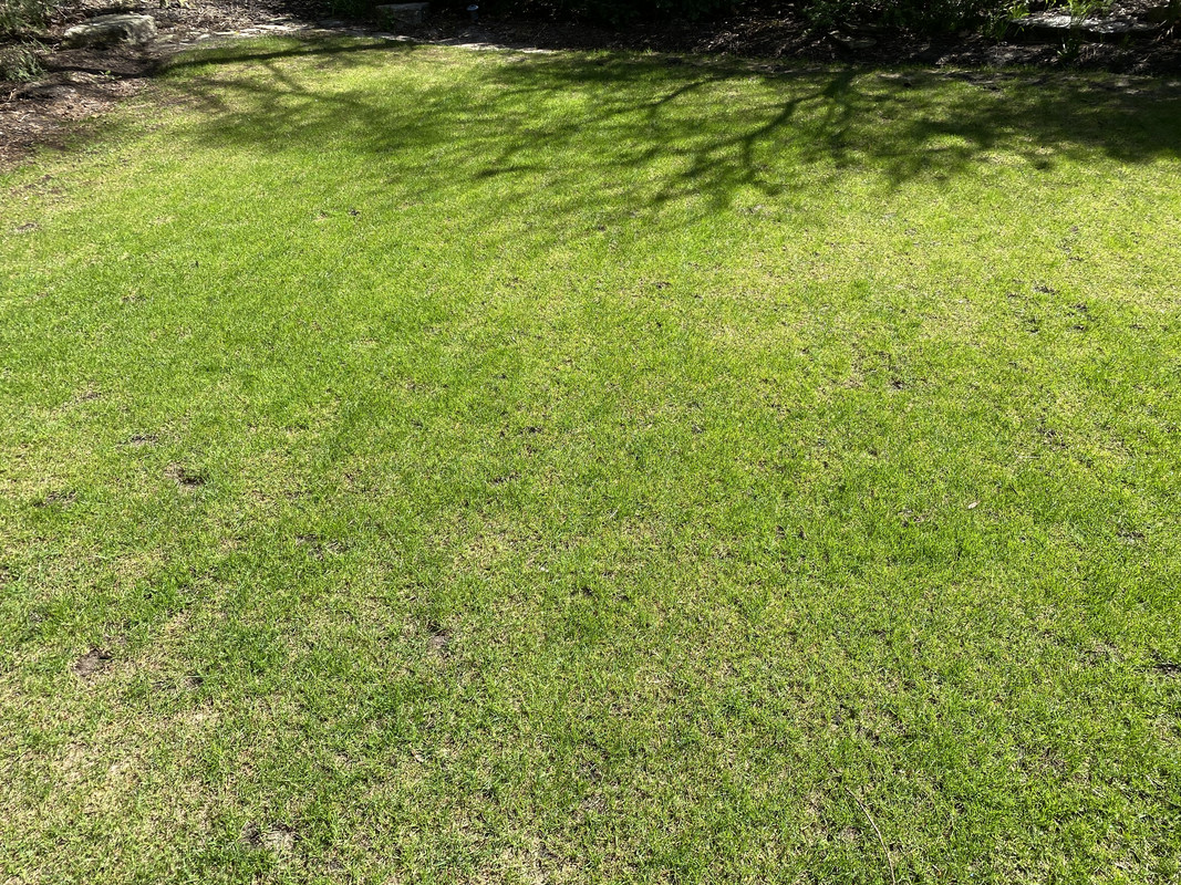 DA037EF1-58EC-4CFF-87CF-756F0DDFD853