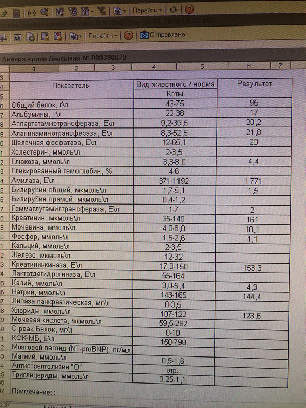 A190BA50-76D5-48DB-9A31-EF203120FEE2