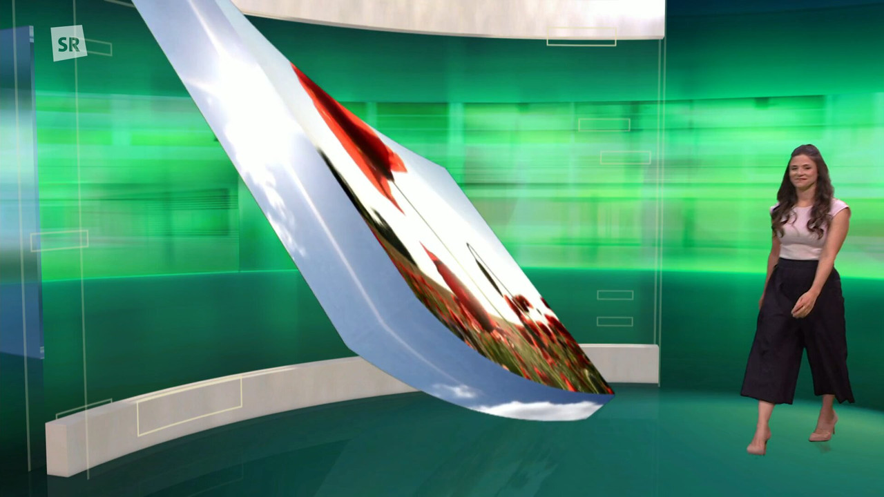 Screenshot (147256)