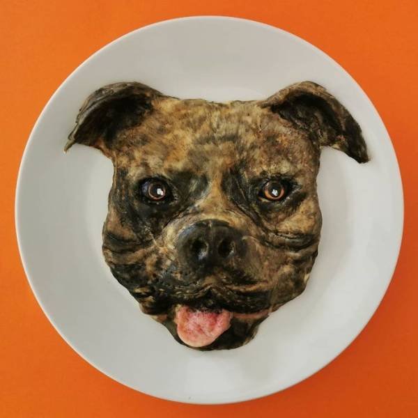 Meals-20