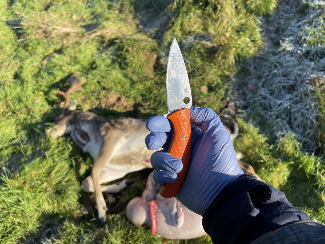 114B3891-6745-442F-92F0-734394C008B5