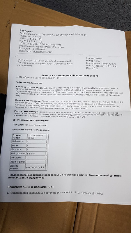 изображение_viber_2020-09-28_16-23-51