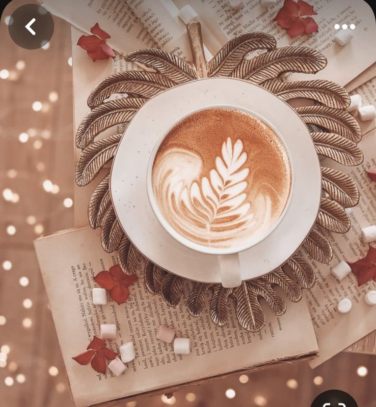 Screenshot_20230905_013706_Pinterest