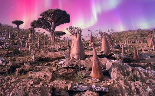 [Obrazek: 1767652623144.png]