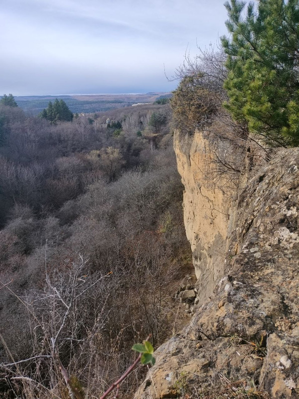 IMG_20231118_154329_686