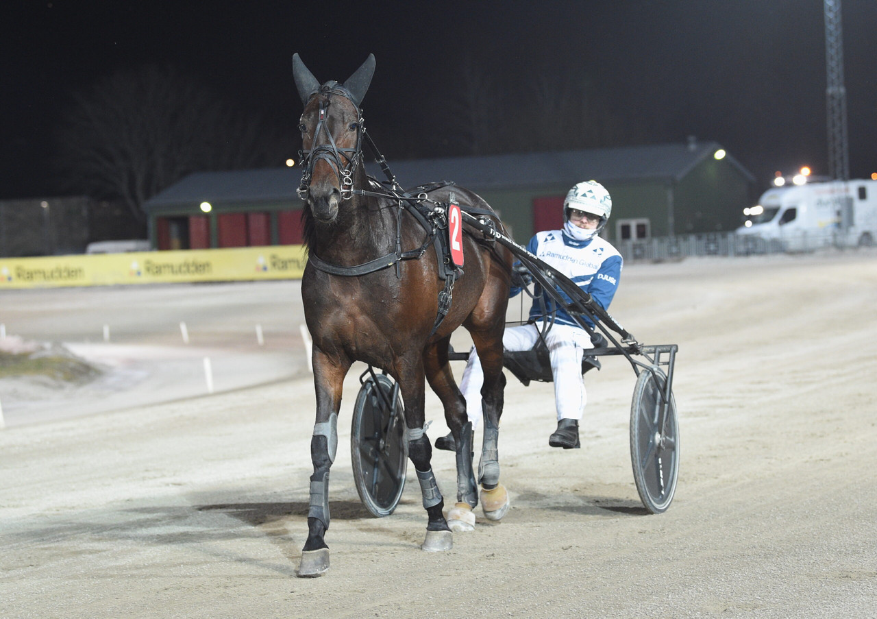 readly winner def scaled