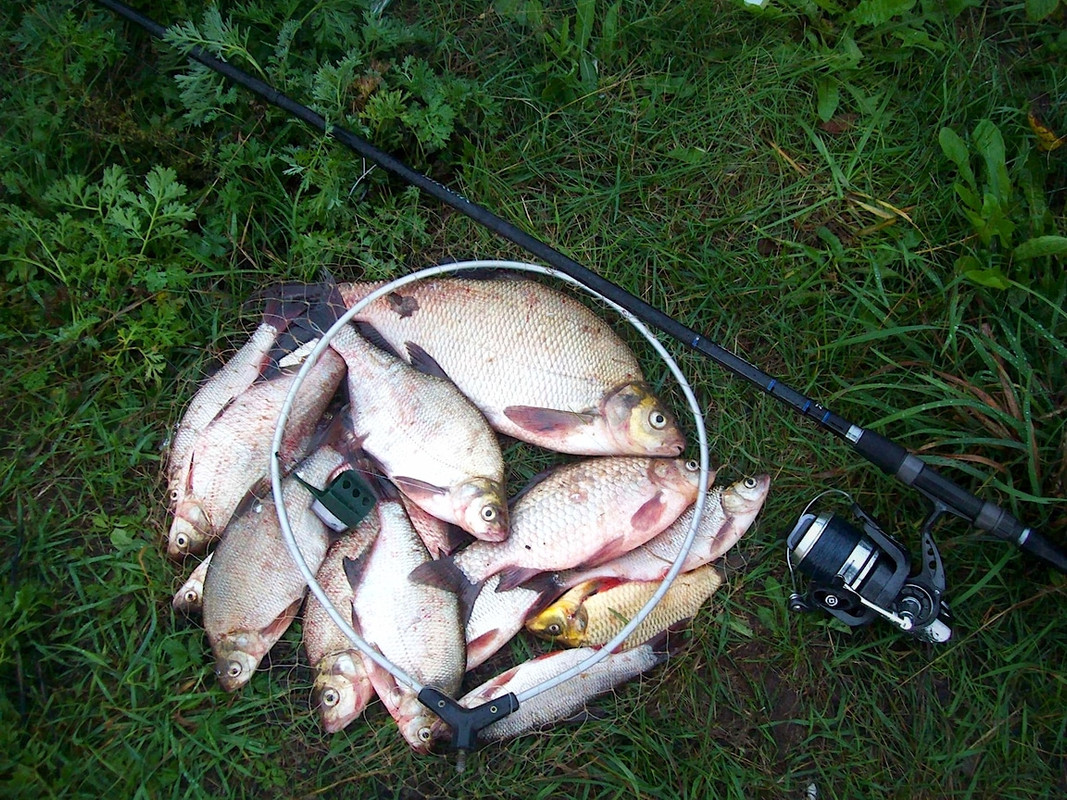 Добрянка30.09.13 00