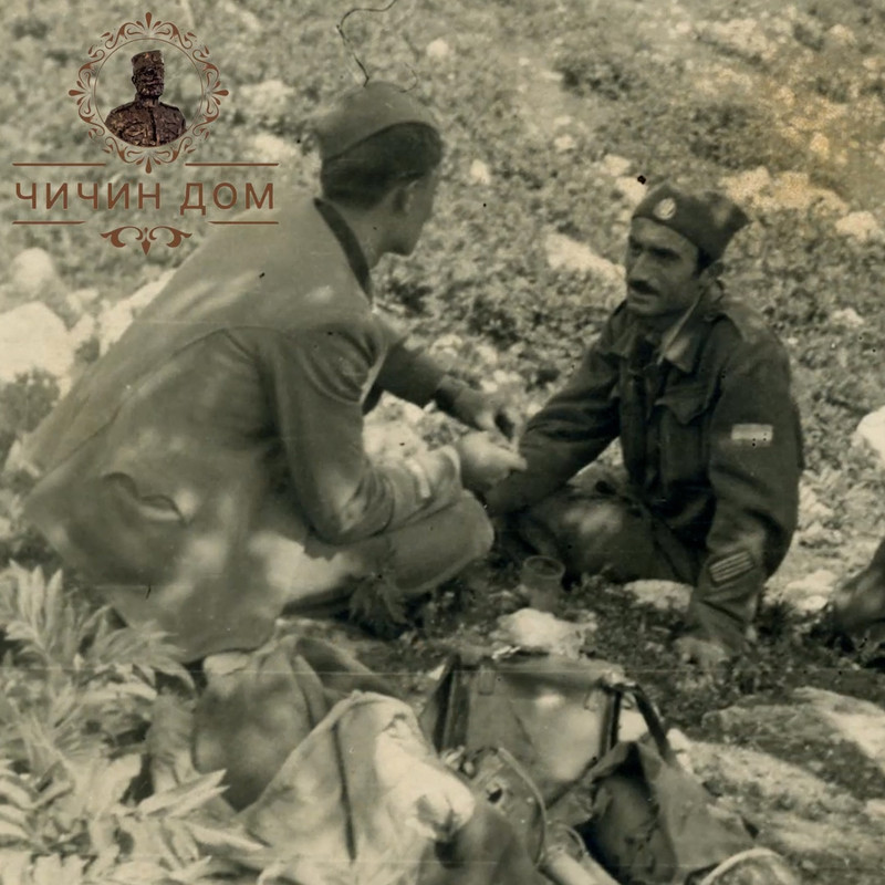 [Слика: 472961459-122212780190194280-1436071660037252453-n.jpg]