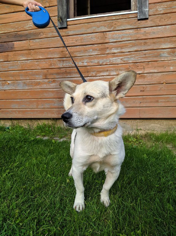 b0652aef-dfd9-425b-b3d0-4e31df43f3d2