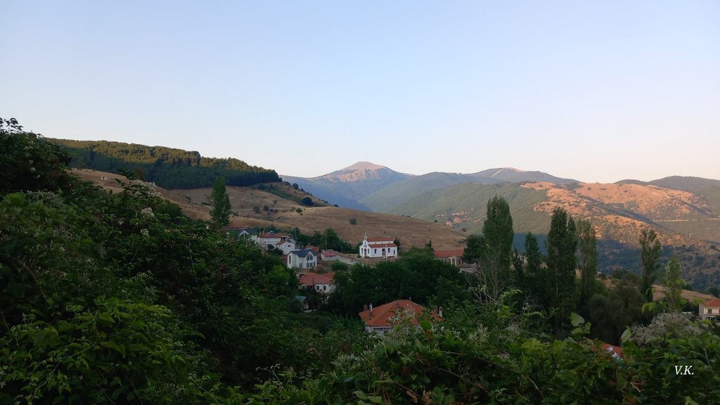 Slika