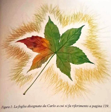 “Solitudine e unicità” dans Fatima La-foglia-disegnata-da-San-Carlo-Acutis-a-scuola