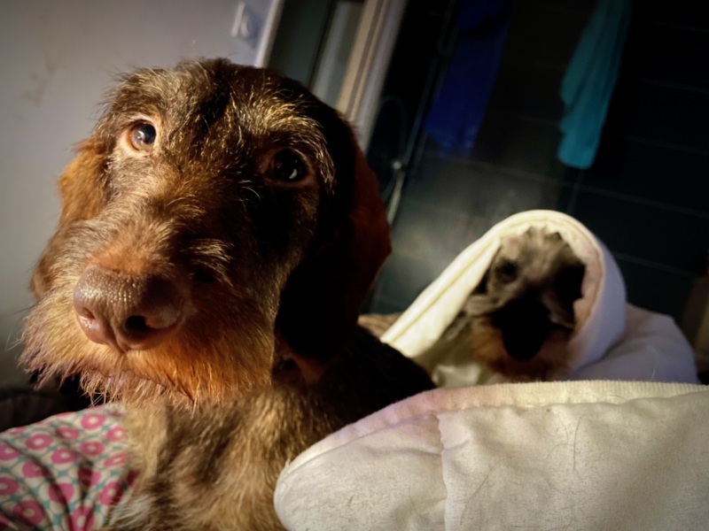 [Image: IMG-1978.jpg]