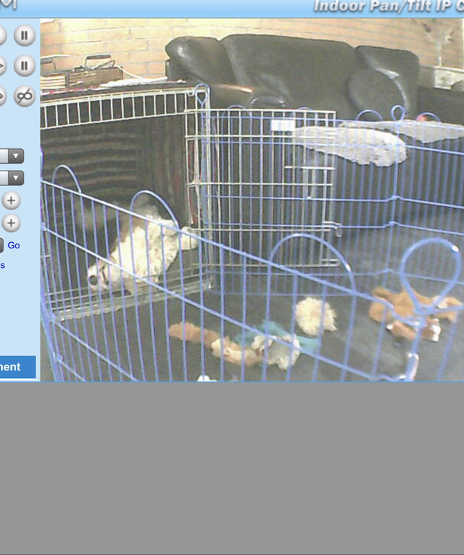 82239F11-CA9B-4F03-A904-5A6867199FD3