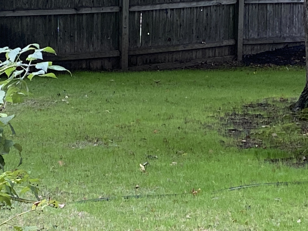 E5FAA577-7DA5-41E1-822C-77F9DC18A411